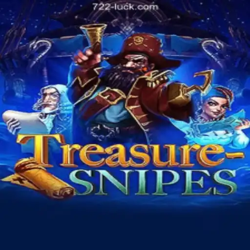 Exploring the Exciting World of TreasureSnipes